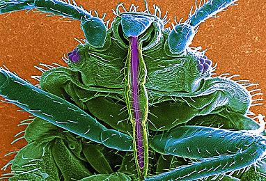 回合制战术角色扮演游戏《天空花园竞技场》现已在Steam平台推出试玩Demo